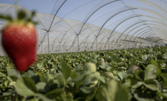 Private Equity Shifts from Cost-Cutting to Value Creation 